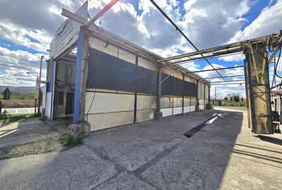 PROPRIETATE MULTIFUNCTIONALA | TEREN 3788 MP | SPALATORIE CAMIOANE + CASA |  DN1 - 5