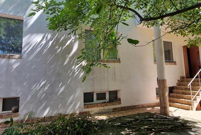 Casa solida S+P+2 Etaje Lucian Blaga - 7