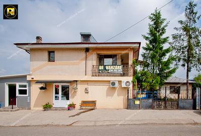Vanzare Proprietate mixta si Afacere la cheie in Sat Costi, teren 400 mp - 11