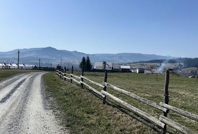 Teren de vânzare  Bucovina - 1