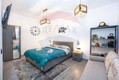 Apartament 1 camera | Poarta Schei nr. 1 | Centru Istoric Brasov - 8