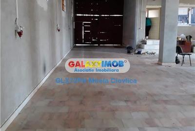 Vanzare imobil intreg  Spatiu Comercial  Hala Baicoi  Prahova - 3