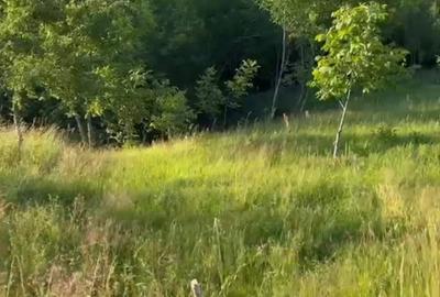 Teren extravilan 2069mp spre vanzare  zona Domeniile Orlandea-Sibiel. - 1