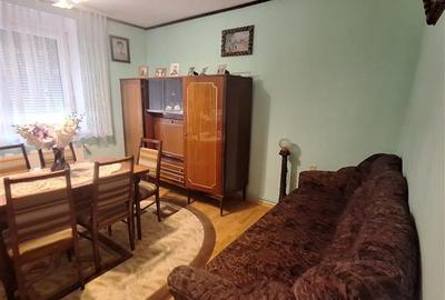 Bocsa Vasiova, Casa cocheta pentru familie, cu Gradina. - 9