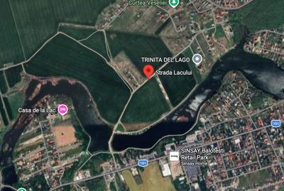 Teren intravilan 5.000 mp – Balotești - deschidere și ieșire la lac - 3