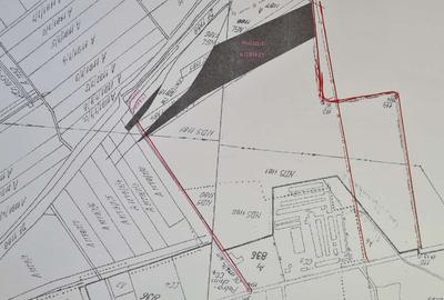 Teren intravilan, agricol, in TIMISOARA - Freidorf: 31.028m² - 2