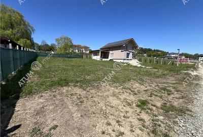 Peren intravilan de 600 mp cu PUZ in Tocile langa liziera padurii - 3