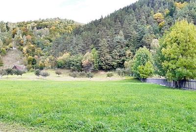 Teren superb de 16240mp, parcelabil, in Bran la intrare in Moeciu de Jos - 15