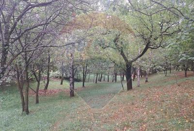 Casă vacanta 2007 Izvoarele Valenii de Munte teren 3000 mp - 13