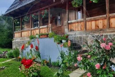 Vanzare 3 case de vacanta si 15750 mp teren, Botiza, Maramures - 11