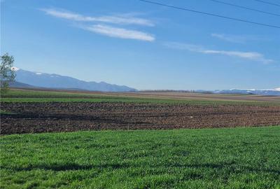 Teren extravilan 4.500- max.18.300mp in comuna Rosia (17 km de Sibiu) - 10