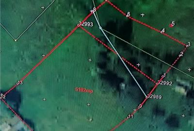 Teren Construcții intravilan de 4100 mp, în Zvoriștea