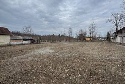 Teren Intravilan - parcelabil - 1.450 mp - Valea Avrigului - 4
