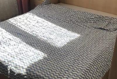 Apartament cu 2 camere circular, mobilat în Olteniței