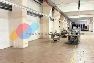 Spațiu industrial / birouri / hala - 3.420 mp – Bd. Muncii, Cluj - 8