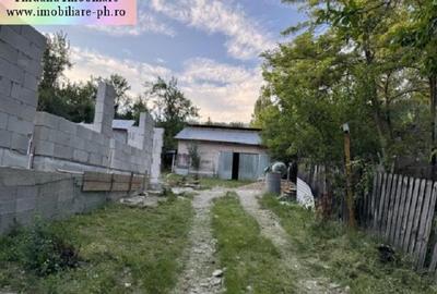 Casa in constructie de vanzare: Aricesti Zeletin,(teren 3100 mp) - 3