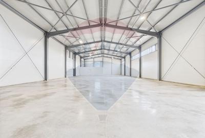 Spațiu industrial de 600mp de închiriat în zona Traian - 18