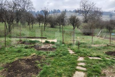 Casă individuală 4 camere, 91 mp, teren 1376 mp, in Suceagu - 7