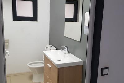 Hala de inchiriat 400 mp depozitare si productie soseaua de centura Chitila - 13