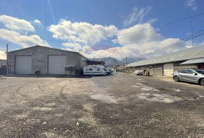 De vânzare – Proprietate industrială Săcele, zona Doina (acces DN1A) - 1