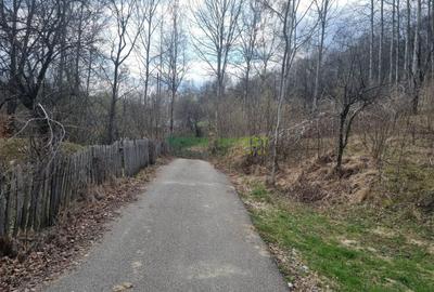 Teren de vanzare in Valea Doftanei 7000 mp - intravilan - 4