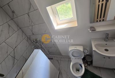 Oază de liniște și natură! Casă  cu 2 heleșteie și pârâu în curte – Probota - 11