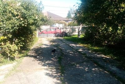 Casa in Pucioasa - 13