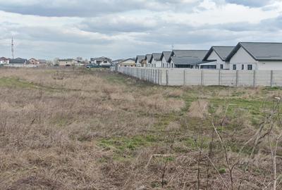 Comuna Berceni-Ciresilor-teren dezvoltare imobiliara - 10