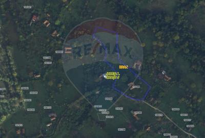 Teren intravilan, 1500 mp, Bran - 4