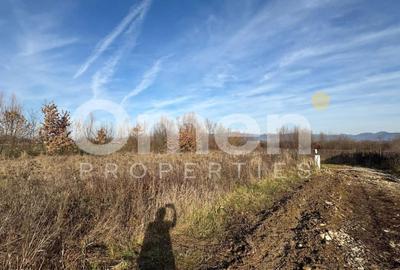 Teren de vânzare 8,9 ari + cotă parte drum – proiect duplex aprobat - 1