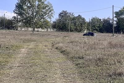 OCAZIE:Teren intravilan Tulcea-19euro/m.p. - 3