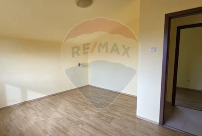 Casa P+M de vanzare in Valea Voievozilor Aleea Manastirii - 14