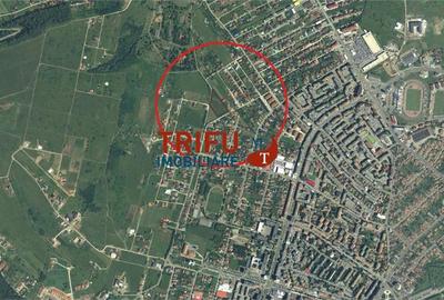 Teren Construcții intravilan de 5998 mp, în Cetate