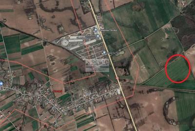 PROIECT REZIDENȚIAL  CREVEDIA/ 17.600 MP /PUZ PENTRU 29 LOTURI - 7