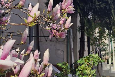 Caderea Bastiliei - Biroul tau cu personalitate - 1