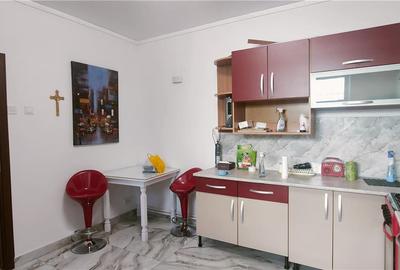 APARTAMENT ULTRACENTRAL , PIATA UNIRII, CUZA VODA 70 MP PLUS CURTE - 38