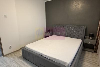 Apartament 2 camere mobilat si utilat la Pta Sudului - 9