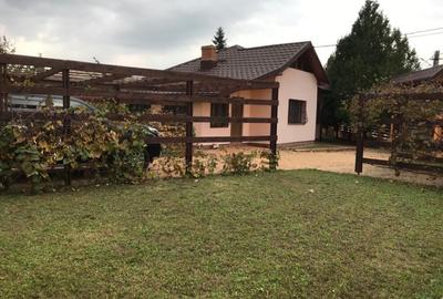 Casa in Vladeni - 15