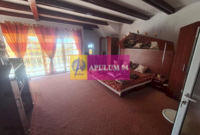CASA (VILA) DE VANZARE IN CORNU - 25