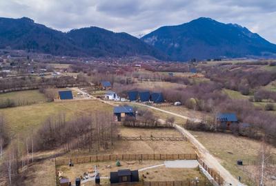 Teren intravilan 850mp Zarnești-Bran, natura-relaxare - 12