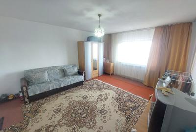 Apartament spatios Nae Leonard