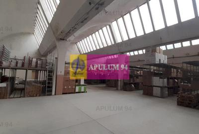 Hală 3600mp zona de Sud a capitalei - 21