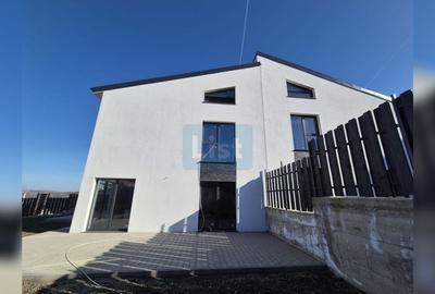 Case cu arhitectura nordica, panouri fotovoltaice, central Dezmir - 4