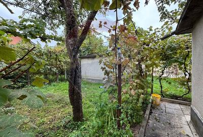 Casă / Vilă cu 5 camere de vânzare în Aleșd zona Ultracentral - 22