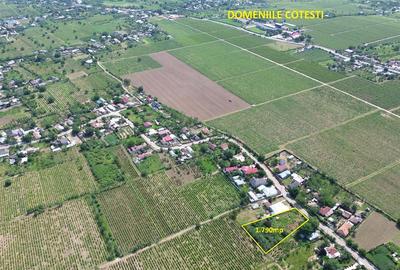 Teren intravilan de vanzarea in Valea Cotesti cu utilitati 1.790 mp - 9