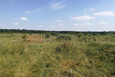 Baneasa - Piscul Reghiului, teren intravilan, suprafata 727 mp - 2