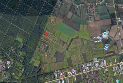600 mp intre timisoara si giarmata vii - 1