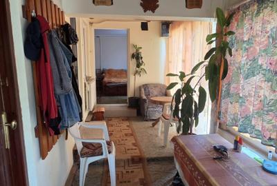 Casă și teren de vânzare – Zona Careiului - 9
