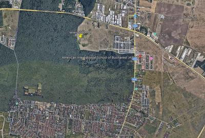 5.000 mp posibilitate extindere Liziera Padurii Baneasa - 1