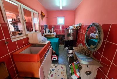 Casa D+P+1, situata in Curtisoara - 12